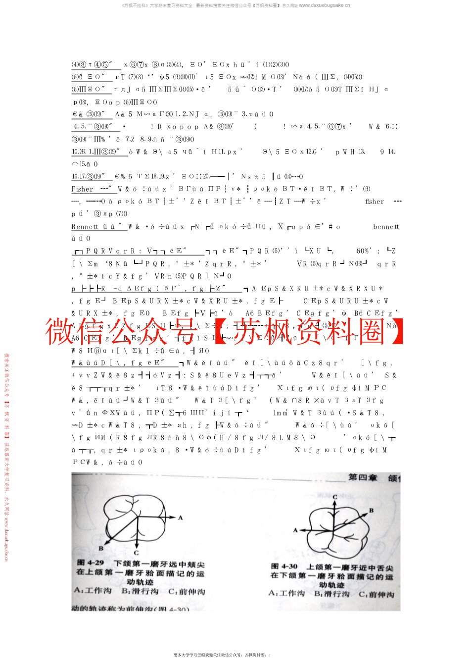 牙合学